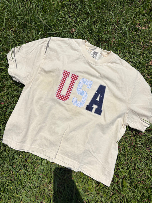 USA Appliqué Boxy Crop
